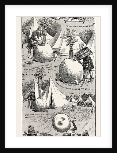 Wonders in Botany: The Story of the Growth of Some Giant Radishes by Anonymous