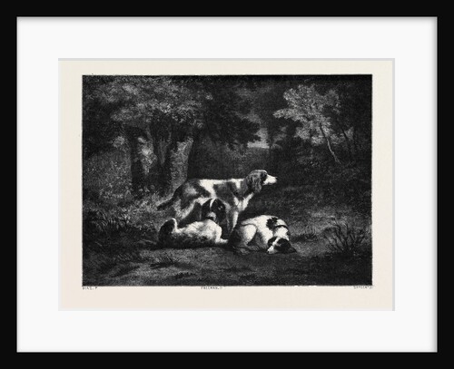 The Dogs in the Forest, by Diaz; Les Chiens Dans La Forêt by Anonymous