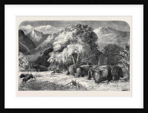 Mr. Gordon Cumming's Lecture, Riding Out the Best Ivory Elephant, Shooting from the Saddle by Anonymous