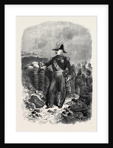 Marshal Pelissier, Commander-in-Chief of the French Army in the Crimea by Anonymous