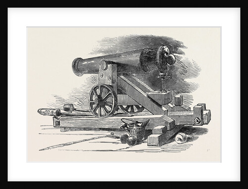 Fortress Gun from Bomarsund by Anonymous