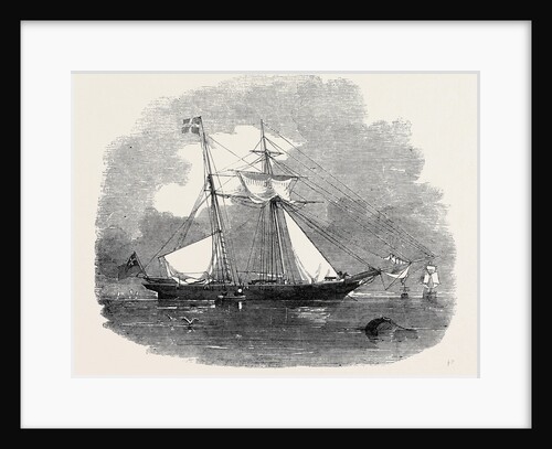 The New Opium Clipper Wild Dayrell by Anonymous