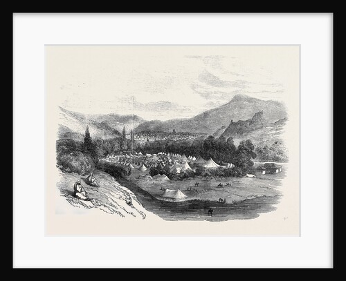 Horses for the Land Transport Corps Encamped at Tocat, in Asia Minor by Anonymous