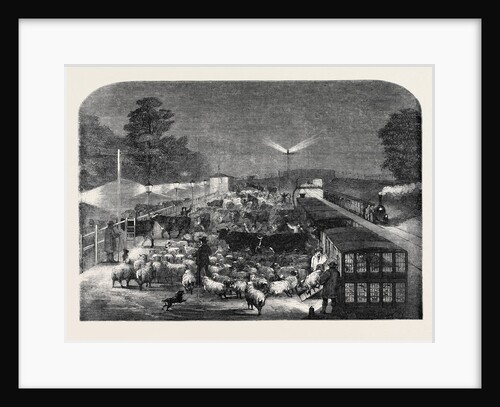 Christmas Cattle Arriving at Tottenham Station, Eastern Counties Railway by Anonymous