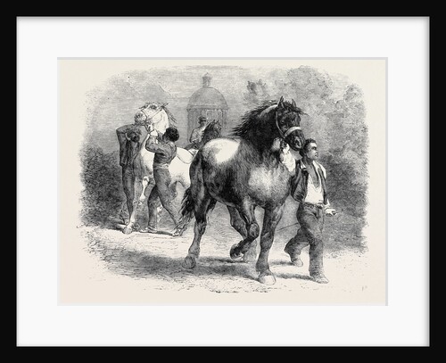 Sketch from the Horse Fair by Anonymous