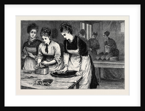 National Training School of Cookery at South Kensington: Morning, in the Scullery by Anonymous