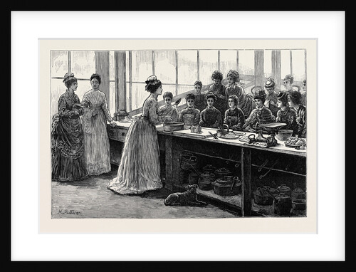 National Training School of Cookery at South Kensington: Afternoon, Lecture on Practical Cookery Seasoning Fricandeau of Veal by Anonymous