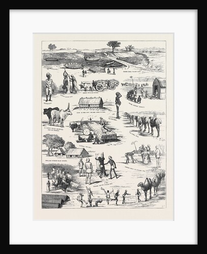 The Indian Famine, Sketches in the Affected Districts, by a Member of the Famine Relief Staff by Anonymous