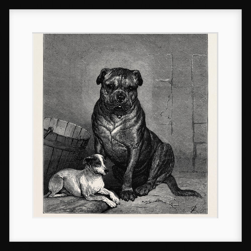 Beauty and the Beast, from the Drawing by John Charlton in the Black and White Exhibition by Anonymous