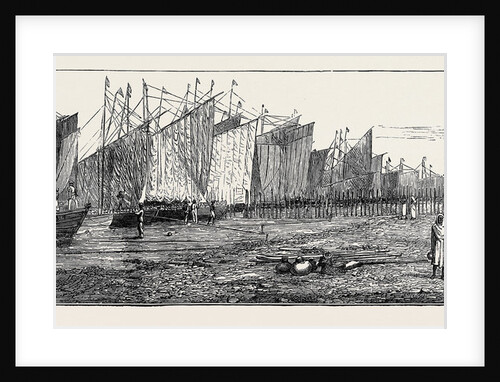 The Ceylon Pearl Fishery, Boats Preparing to Start by Anonymous