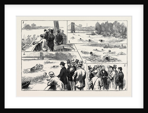 Swimming Match in the Thames for the Amateur Championship by Anonymous