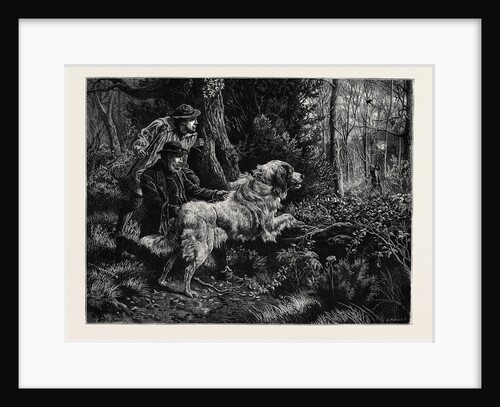 Catching a Poacher by Anonymous