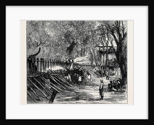 Elephant Hunting in Ceylon: Shooting Spare Elephants Through the Corral by Anonymous
