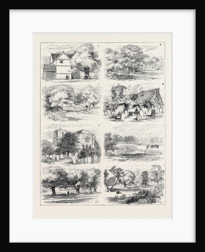 The Preservation of Epping Forest by Anonymous