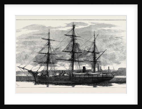 The Eira Arctic Relief Expedition Under Captain Sir Allen Young: The Exploring Steam Vessel Hope by Anonymous