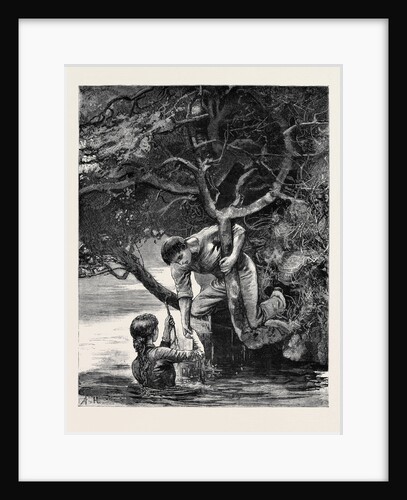 Kit, a Memory; the Long Looked-for Branch. by Anonymous