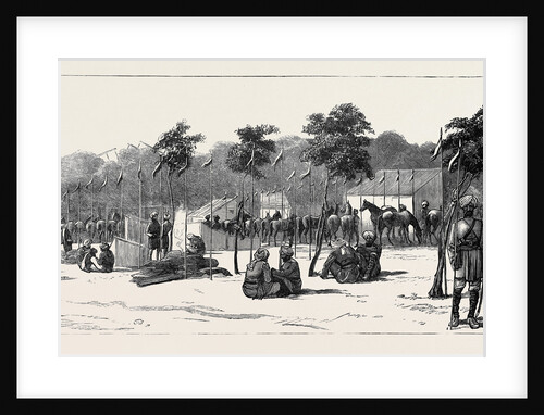 Camp of the Thirteenth Bengal Lancers Beside the Quay Mehemet Ali, Ismailia by Anonymous