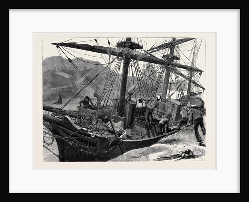 Kit, a Memory; a Sailor Fell from the Mainmast of a Ship in Mogadion Harbour, and Fractured His Skull by Anonymous