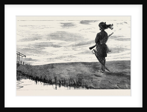 On Guard, a Sunset Sketch on the Canal Bank at Kassassin by Anonymous