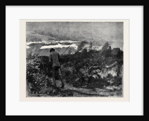 Kit, a Memory; He Waved His Stick and Increased His Pace. by Anonymous