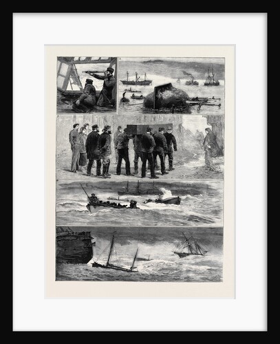 A South Coast Gale by Anonymous