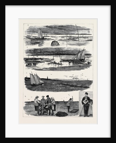 Oyster Culture at Arcachnon by Anonymous