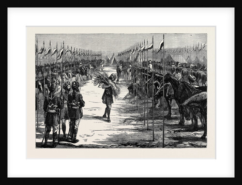 With the Indian Contingent in Egypt: A Camp of the Thirteenth Bengal Lancers by Anonymous