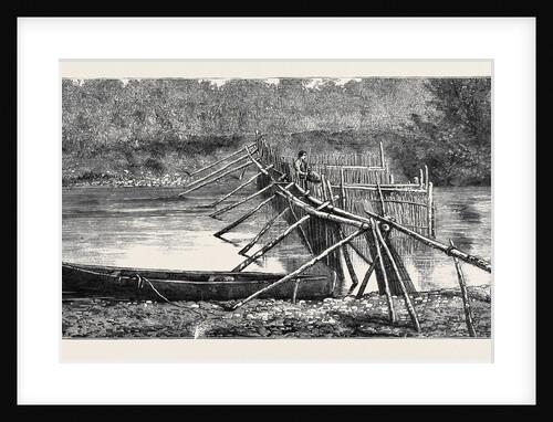 A Salmon Weir Near the Quamichan Indian Village on the Cowichan River, Vancouver Island, Canada by Anonymous