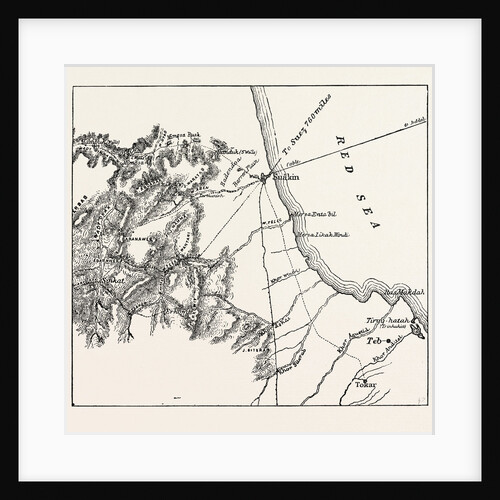 Map Showing the Place Where Baker Pasha Was Defeated February 4 1884 and the Routes from the Coast of the Red Sea to Sinkat and Tokar by Anonymous