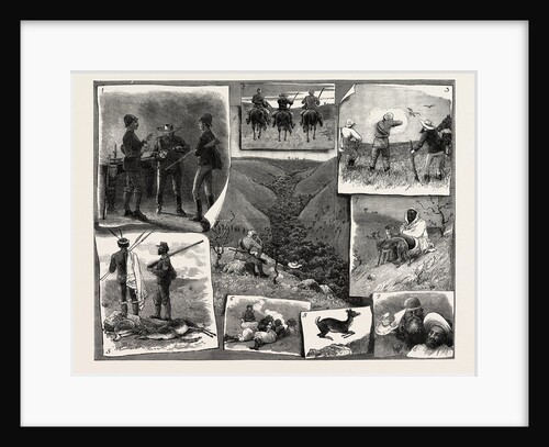Buck Hunting at the Cape by Anonymous