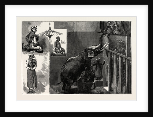 The Burmese Priests and Mr. Barnum's Elephant at the Zoological Gardens by Anonymous