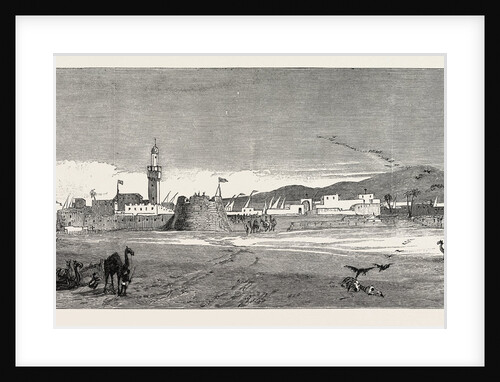 The Rebellion in the Soudan: Berber from the Desert or East Side by Anonymous