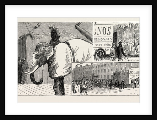 Mr. Barnum's White Burmese Elephant Toung Taloung by Anonymous