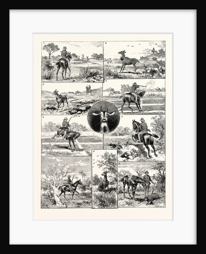 A Nylghau Hunt in India by Anonymous