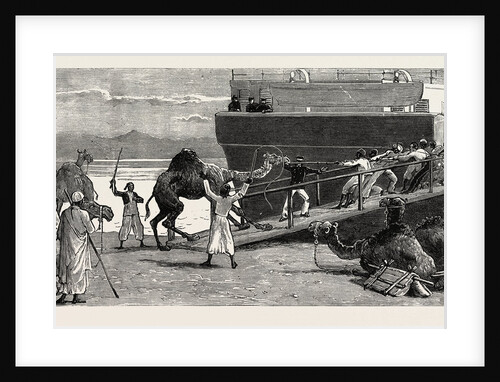 The Rebellion in the Soudan: Shipping Camels at Suez for Suakim by Anonymous
