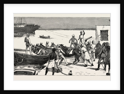 The Rebellion in the Soudan with Baker Pasha's Expedition to Relieve Tokar: Embarking Mules at Suakim for Trinkitat by Anonymous