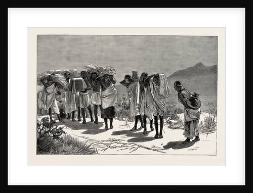 With Admiral Sir W. Hewett's Embassy to King John of Abyssinia: Abyssinian Hospitality-Supplies Coming in by Anonymous