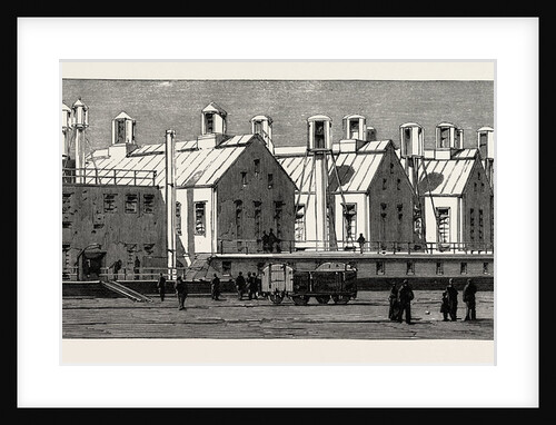 The Small-Pox Epidemic and the Metropolitan Asylums Board: The Twin-Ship Castalia Converted Into an Echelon Smallpox Hospital at Longreach by Anonymous