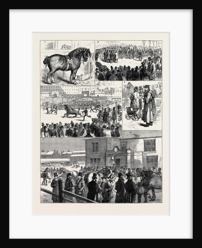 The Annual Stallion Show of the Glasgow Agricultural Society by Anonymous