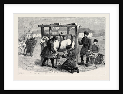 The Eastern Question, Russia: Shoeing Horses in the Camp at Kischineff by Anonymous
