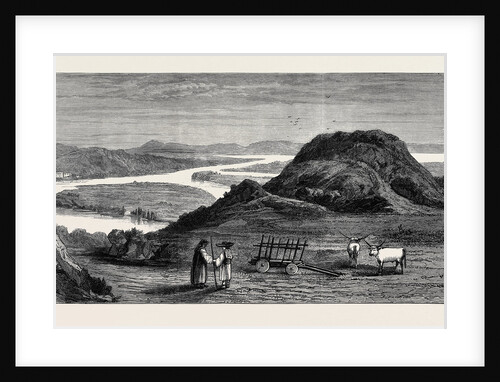 The Russo-Turkish War: Caput Bovis and the Junction of the Sereth with the Danube by Anonymous