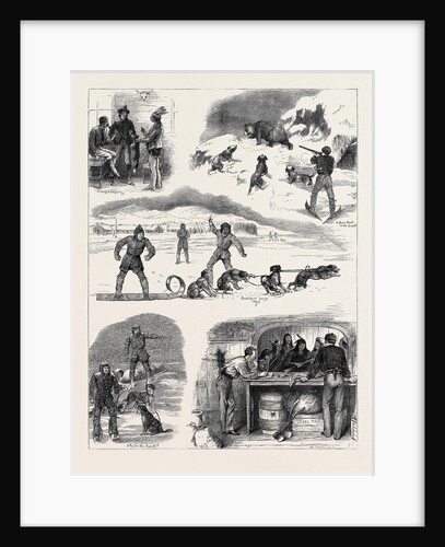 Life in Manitoba, British North America by Anonymous