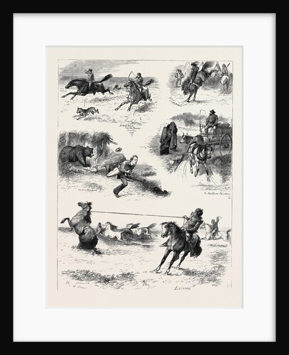 Life in Manitoba, British North America by Anonymous