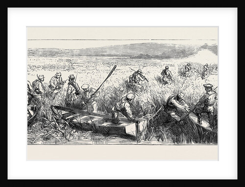 The War in the East, with the Russians on the Danube: A Picket Skirmish in the Dobrudscha, Near Galatz by Anonymous