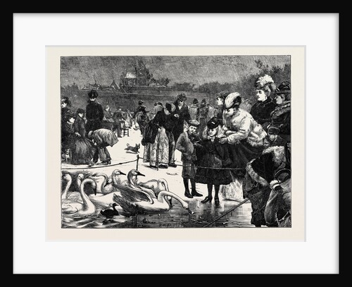 Frozen in, 1870 by Anonymous