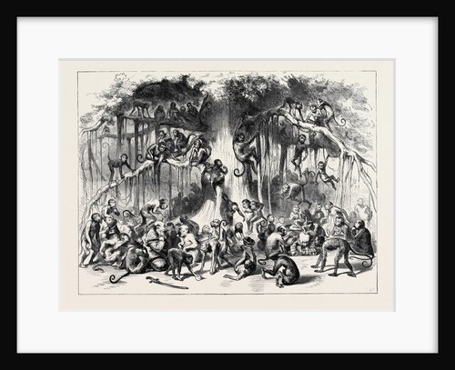 Pantomime at Drury Lane, London, 1870 by Anonymous