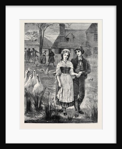Geese, 1870 by Anonymous