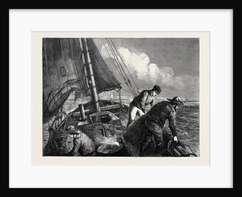 Shrimping in the Medway, 1870 by Anonymous