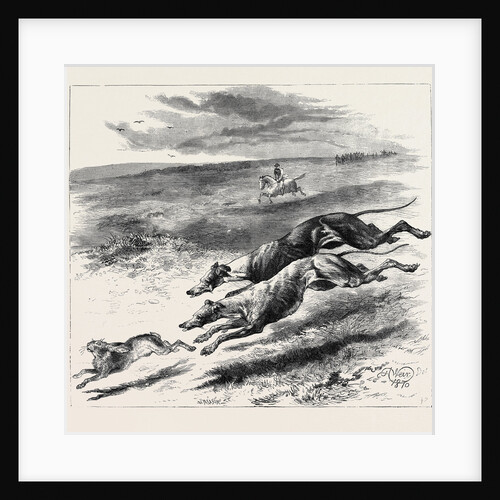 Coursing, 1870 by Anonymous