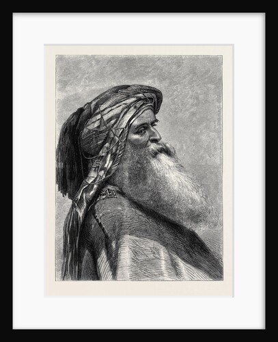 The Sheikh by Anonymous